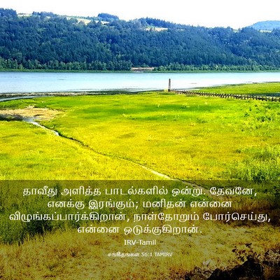 Picture 03 - சங்கீதங்கள் 56:1 TAMIRV - தாவீது அளித்த - Bible Verse Picture