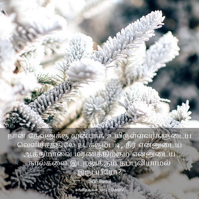 Picture 03 - சங்கீதங்கள் 56:13 TAMIRV - நான் தேவனுக்கு - Bible Verse Picture