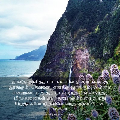 Picture 03 - சங்கீதங்கள் 57:1 TAMIRV - தாவீது அளித்த - Bible Verse Picture