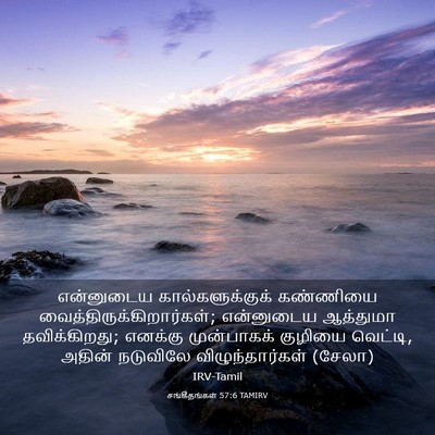Picture 03 - சங்கீதங்கள் 57:6 TAMIRV - என்னுடைய - Bible Verse Picture