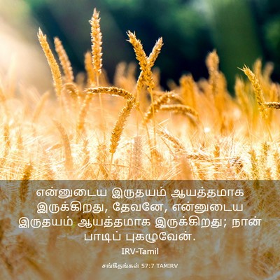Picture 03 - சங்கீதங்கள் 57:7 TAMIRV - என்னுடைய இருதயம் - Bible Verse Picture