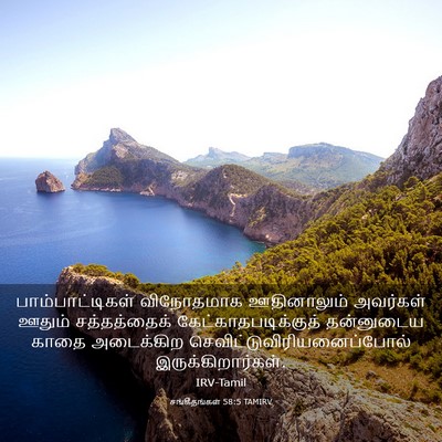 Picture 03 - சங்கீதங்கள் 58:5 TAMIRV - பாம்பாட்டிகள் - Bible Verse Picture