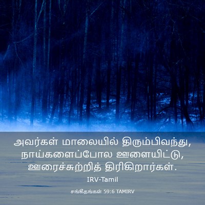 Picture 03 - சங்கீதங்கள் 59:6 TAMIRV - அவர்கள் மாலையில் - Bible Verse Picture