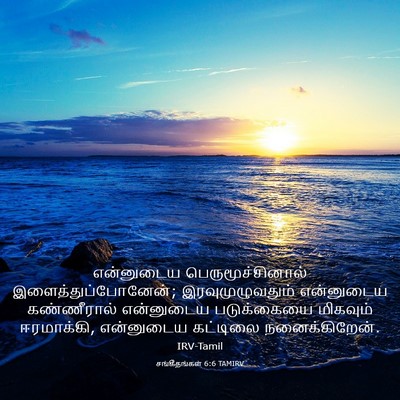 Picture 03 - சங்கீதங்கள் 6:6 TAMIRV - என்னுடைய - Bible Verse Picture