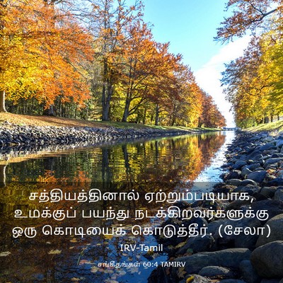 Picture 03 - சங்கீதங்கள் 60:4 TAMIRV - சத்தியத்தினால் - Bible Verse Picture