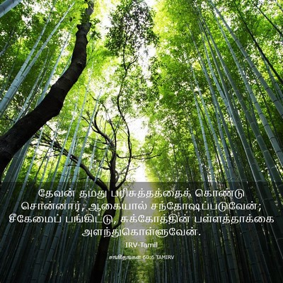 Picture 03 - சங்கீதங்கள் 60:6 TAMIRV - தேவன் தமது - Bible Verse Picture