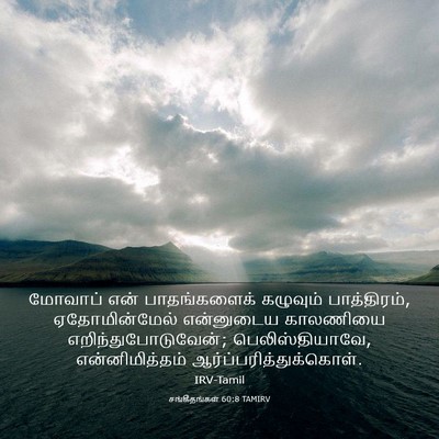 Picture 03 - சங்கீதங்கள் 60:8 TAMIRV - மோவாப் என் - Bible Verse Picture