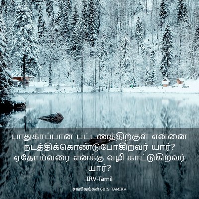 Picture 03 - சங்கீதங்கள் 60:9 TAMIRV - பாதுகாப்பான - Bible Verse Picture