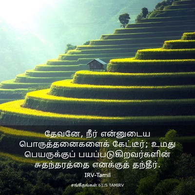 Picture 03 - சங்கீதங்கள் 61:5 TAMIRV - தேவனே, நீர் - Bible Verse Picture
