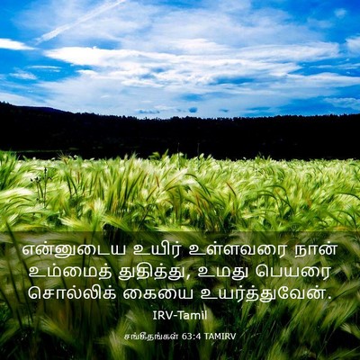 Picture 03 - சங்கீதங்கள் 63:4 TAMIRV - என்னுடைய உயிர் - Bible Verse Picture