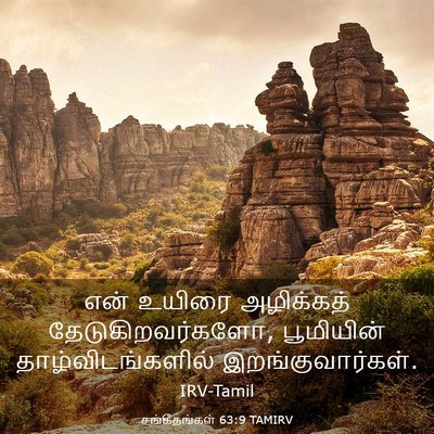 Picture 03 - சங்கீதங்கள் 63:9 TAMIRV - என் உயிரை - Bible Verse Picture
