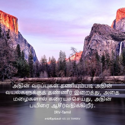Picture 03 - சங்கீதங்கள் 65:10 TAMIRV - அதின் வரப்புகள் - Bible Verse Picture