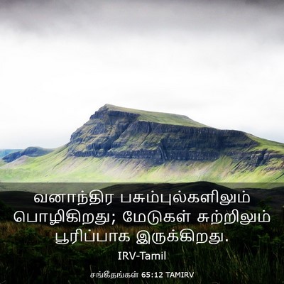 Picture 03 - சங்கீதங்கள் 65:12 TAMIRV - வனாந்திர - Bible Verse Picture