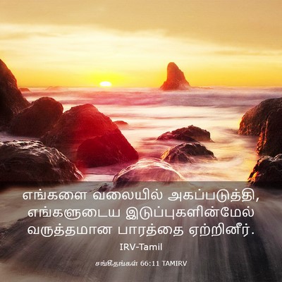 Picture 03 - சங்கீதங்கள் 66:11 TAMIRV - எங்களை வலையில் - Bible Verse Picture