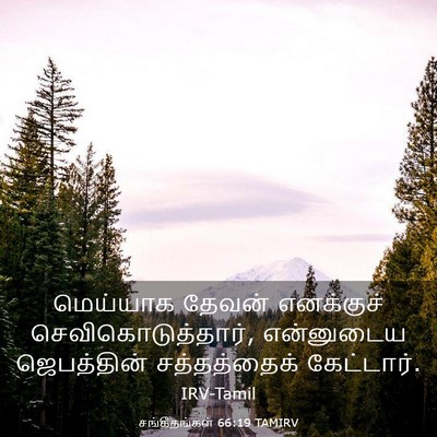 Picture 03 - சங்கீதங்கள் 66:19 TAMIRV - மெய்யாக தேவன் - Bible Verse Picture
