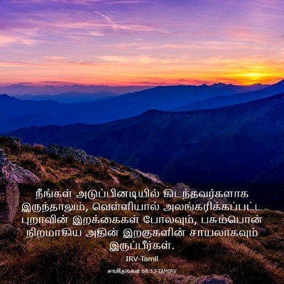 Picture 03 - சங்கீதங்கள் 68:13 TAMIRV - நீங்கள் - Bible Verse Picture
