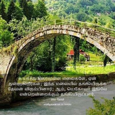 Picture 03 - சங்கீதங்கள் 68:16 TAMIRV - உயர்ந்த சிகரமுள்ள - Bible Verse Picture