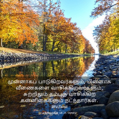 Picture 03 - சங்கீதங்கள் 68:25 TAMIRV - முன்னாகப் - Bible Verse Picture