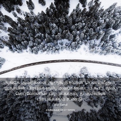 Picture 03 - சங்கீதங்கள் 68:27 TAMIRV - அங்கே அவர்களை - Bible Verse Picture
