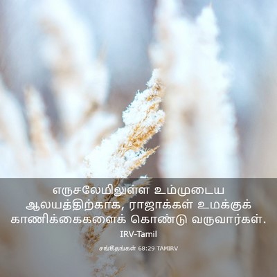 Picture 03 - சங்கீதங்கள் 68:29 TAMIRV - எருசலேமிலுள்ள - Bible Verse Picture