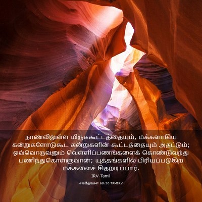 Picture 03 - சங்கீதங்கள் 68:30 TAMIRV - நாணலிலுள்ள - Bible Verse Picture