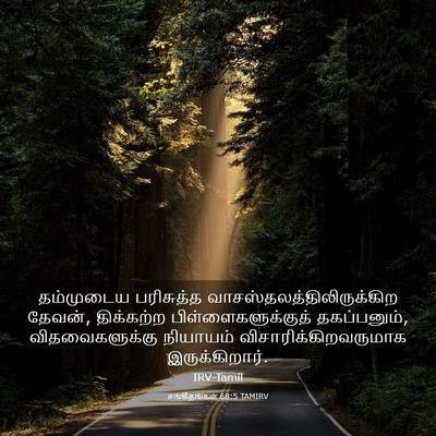 Picture 03 - சங்கீதங்கள் 68:5 TAMIRV - தம்முடைய பரிசுத்த - Bible Verse Picture