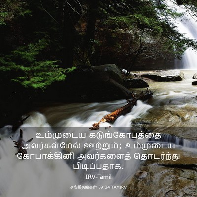 Picture 03 - சங்கீதங்கள் 69:24 TAMIRV - உம்முடைய - Bible Verse Picture