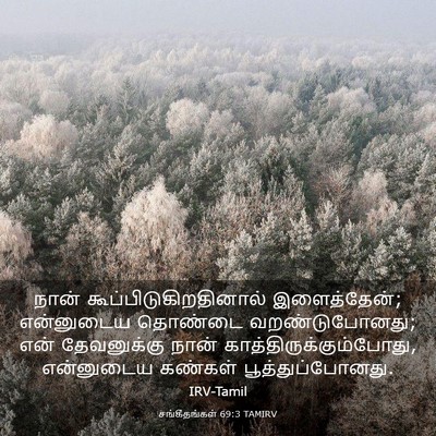 Picture 03 - சங்கீதங்கள் 69:3 TAMIRV - நான் - Bible Verse Picture