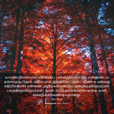 Picture 03 - சங்கீதங்கள் 69:4 TAMIRV - காரணமில்லாமல் - Bible Verse Picture