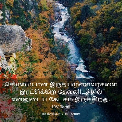 Picture 03 - சங்கீதங்கள் 7:10 TAMIRV - செம்மையான - Bible Verse Picture