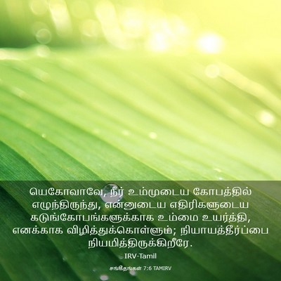 Picture 03 - சங்கீதங்கள் 7:6 TAMIRV - யெகோவாவே, நீர் - Bible Verse Picture