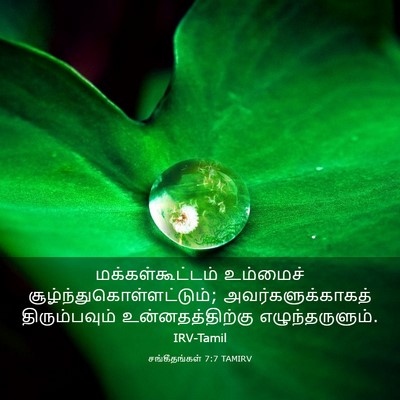 Picture 03 - சங்கீதங்கள் 7:7 TAMIRV - மக்கள்கூட்டம் - Bible Verse Picture