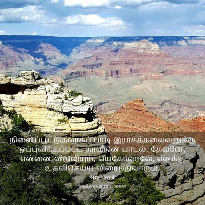Picture 03 - சங்கீதங்கள் 70:1 TAMIRV -  - Bible Verse Picture