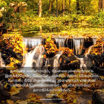 Picture 03 - சங்கீதங்கள் 70:5 TAMIRV - நானோ எளிமையும், - Bible Verse Picture