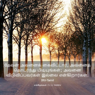 Picture 03 - சங்கீதங்கள் 71:11 TAMIRV - தேவன் அவனைக் - Bible Verse Picture