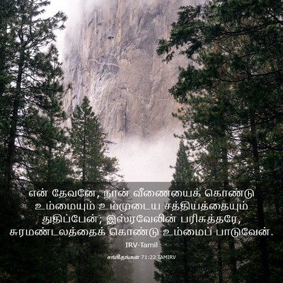 Picture 03 - சங்கீதங்கள் 71:22 TAMIRV - என் தேவனே, நான் - Bible Verse Picture