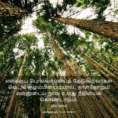 Picture 03 - சங்கீதங்கள் 71:24 TAMIRV - எனக்குப் - Bible Verse Picture