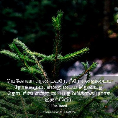 Picture 03 - சங்கீதங்கள் 71:5 TAMIRV - யெகோவா ஆண்டவரே, - Bible Verse Picture