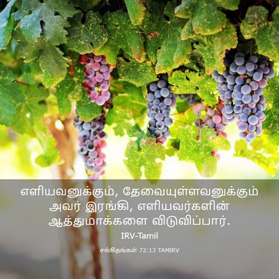 Picture 03 - சங்கீதங்கள் 72:13 TAMIRV - எளியவனுக்கும், - Bible Verse Picture