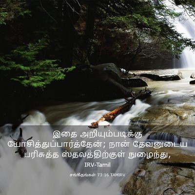Picture 03 - சங்கீதங்கள் 73:16 TAMIRV - இதை - Bible Verse Picture