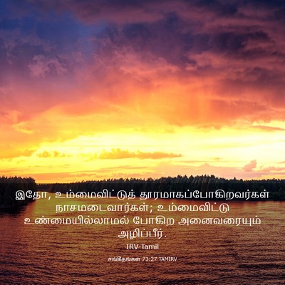 Picture 03 - சங்கீதங்கள் 73:27 TAMIRV - இதோ, - Bible Verse Picture