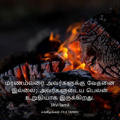 Picture 03 - சங்கீதங்கள் 73:4 TAMIRV - மரணம்வரை - Bible Verse Picture