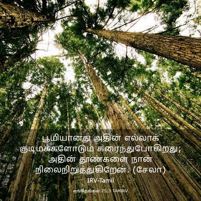 Picture 03 - சங்கீதங்கள் 75:3 TAMIRV - பூமியானது அதின் - Bible Verse Picture