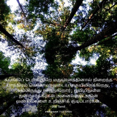 Picture 03 - சங்கீதங்கள் 75:8 TAMIRV - கலங்கிப் - Bible Verse Picture
