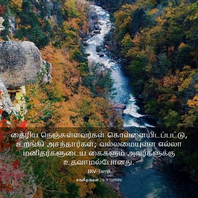Picture 03 - சங்கீதங்கள் 76:5 TAMIRV - தைரிய - Bible Verse Picture