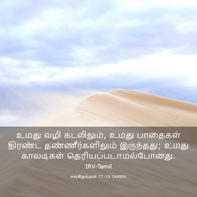 Picture 03 - சங்கீதங்கள் 77:19 TAMIRV - உமது வழி கடலிலும், - Bible Verse Picture