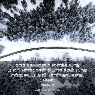 Picture 03 - சங்கீதங்கள் 77:3 TAMIRV - நான் தேவனை - Bible Verse Picture