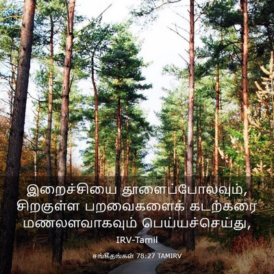 Picture 03 - சங்கீதங்கள் 78:27 TAMIRV - இறைச்சியை - Bible Verse Picture