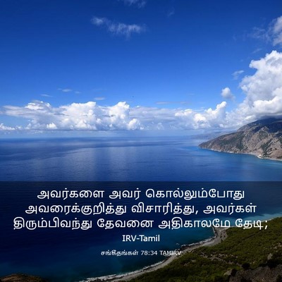 Picture 03 - சங்கீதங்கள் 78:34 TAMIRV - அவர்களை அவர் - Bible Verse Picture