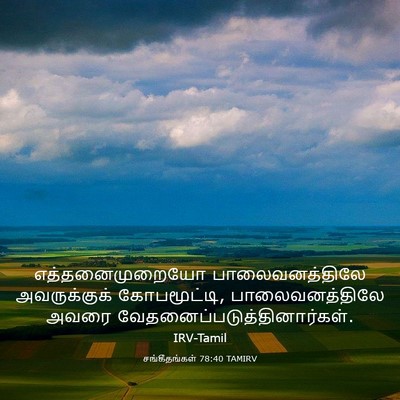 Picture 03 - சங்கீதங்கள் 78:40 TAMIRV - எத்தனைமுறையோ - Bible Verse Picture